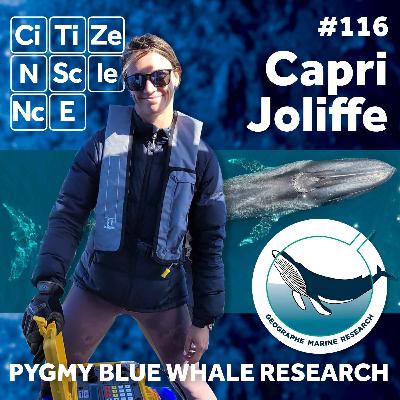 #116 - Capri Joliffe | Geographe Marine Research (GMR) | Pygmy Blue Whale Research | Western Australia