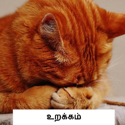 49. உறக்கம் | SLEEP 49. உறக்கம் | SLEEP