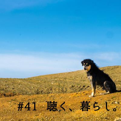 #41 水野仙子「 犬の威嚴 」