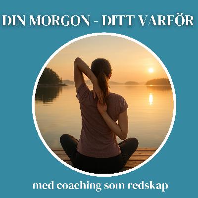 Din morgon - Ditt varför