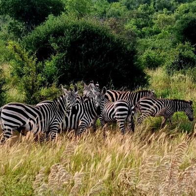 S13E3: TANZÁNIA - Starý život v novej dobe