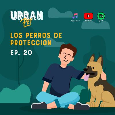 Ep. 20 - Los perros de protección