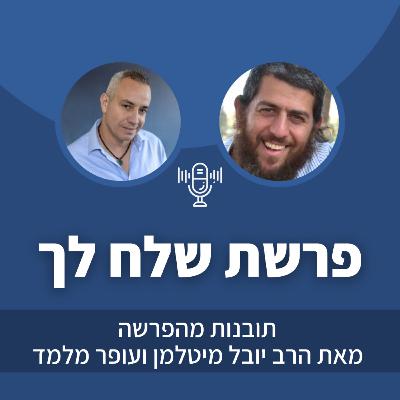 פרק 36: פרשת שלח-לך