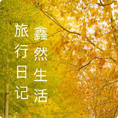 城·市之间｜遇见非遗-辣白菜制作打卡