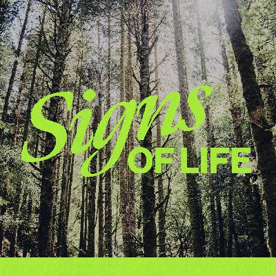Signs of Life