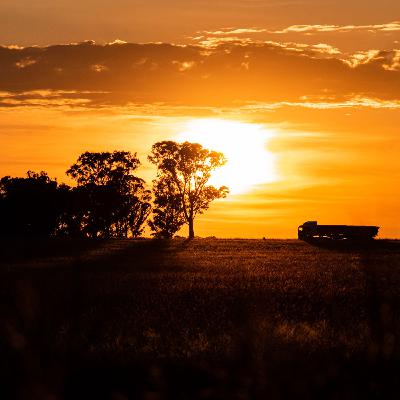 Soulful Sunsets 5