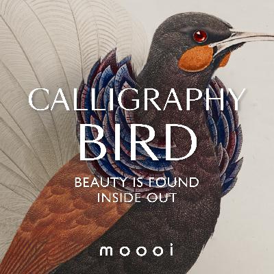 Calligraphy Bird | Beauty is found inside and out