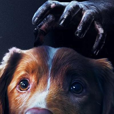 Kinovärgiga mandariin #341 Kinovärgiga mandariin #341