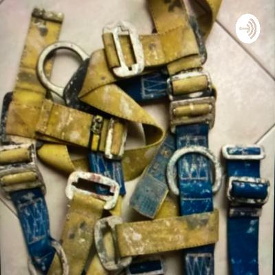 Trabajo Seguro en Alturas