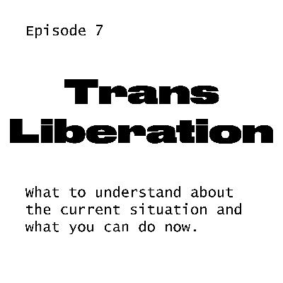 #7 Trans Liberation: What to understand about the current situation and what you can do now