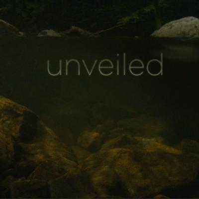 The Suffering Servant | Unveiled | Megan Depler