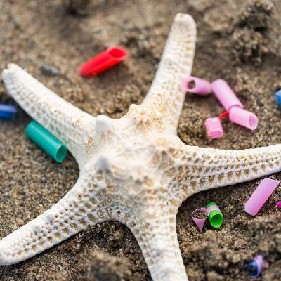 From Bakelite to biohazard: The impacts of microplastics