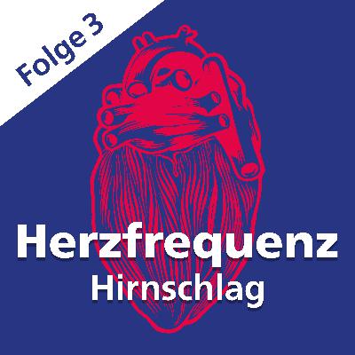 Folge 3 │ Aufbau