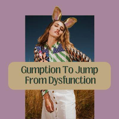 Gumption To Jump From Dysfunction {Video}