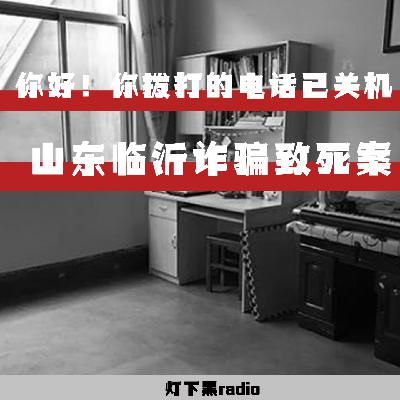 “你好！你拨打的电话已关机”—山东临沂诈骗致死案