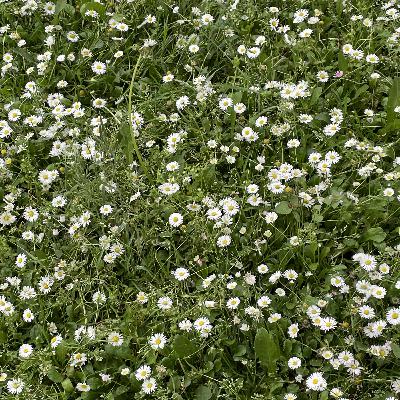 S1 AFLEVERING 4 NORBERT PEETERS S1 AFLEVERING 4 NORBERT PEETERS