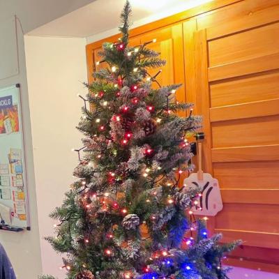 🎙️ Frogmación 183: Episodio Especial de Fin de Año – Gracias por estar aquí ✨💛