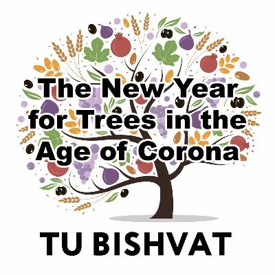 The New Year for Trees in the Age of Corona
