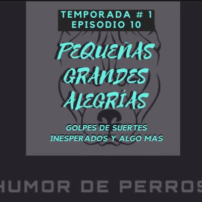 EPISODIO 10- PEQUEÑAS GRANDES ALEGRIAS