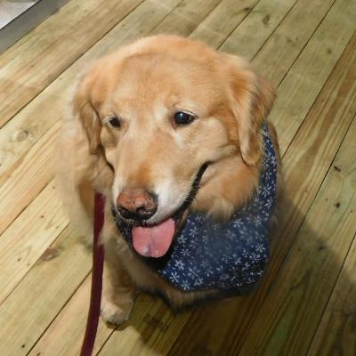 Discussing Chewy + Interview