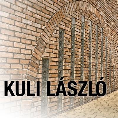 Beszélgetés Kuli Lászlóval a Pro Architectura díja kapcsán
