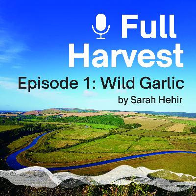 Episode 1: Wild Garlic by Sarah Hehir Episode 1: Wild Garlic by Sarah Hehir