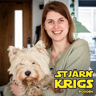 Om Star Wars-parodier med Lisa Dahlin Om Star Wars-parodier med Lisa Dahlin