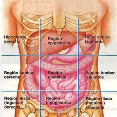 Cuadrantes abdominales 💫