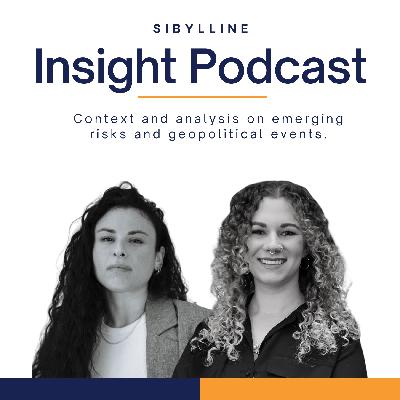 Cyber Risks in Crypto and Healthcare | Sibylline Insight EP. 27 Cyber Risks in Crypto and Healthcare | Sibylline Insight EP. 27
