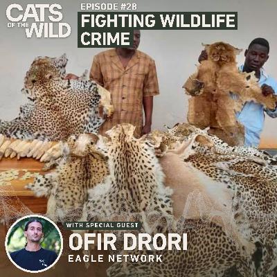Fighting Wildlife Crime: Ofir Drori, EAGLE Network