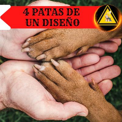 Microconsejos Roleros 10: 4 patas de un diseño de aventura