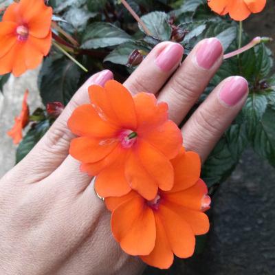 The Power of Awareness 1 The Power of Awareness 1