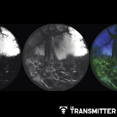 Seeing the world as animals do: How to leverage generative AI for ecological neuroscience Seeing the world as animals do: How to leverage generative AI for ecological neuroscience