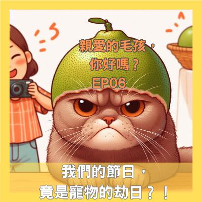 「親愛的毛孩,你好嗎?」EP06-我們的節日,竟是寵物的劫日?! 「親愛的毛孩,你好嗎?」EP06-我們的節日,竟是寵物的劫日?!