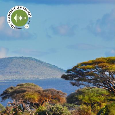 The Socially Imaginative Lawyer The Socially Imaginative Lawyer