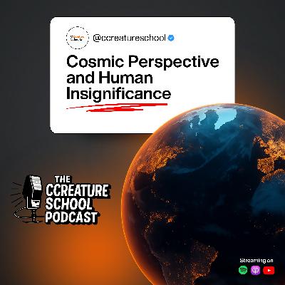 Cosmic Perspective and Human Insignificance