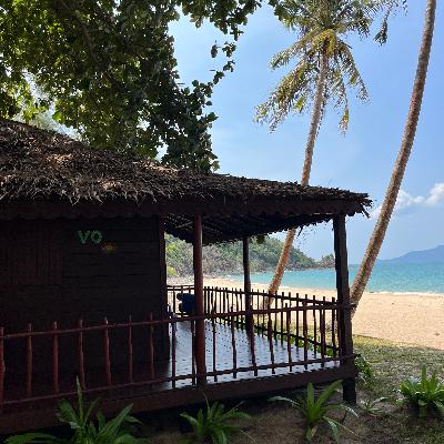 Musing - Phosphorescence and Sea Lice Musing - Phosphorescence and Sea Lice