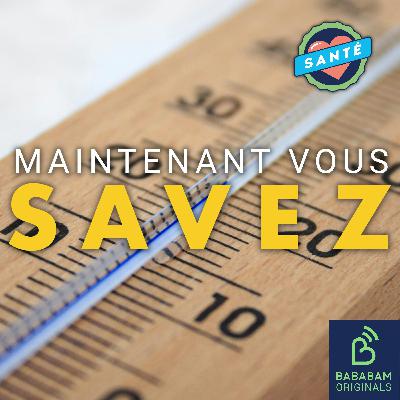 Quelle température est idéale dans une maison pour être en bonne santé ? Quelle température est idéale dans une maison pour être en bonne santé ?