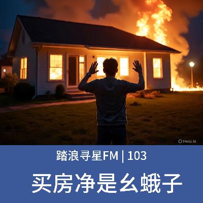 103 – 买房净是幺蛾子