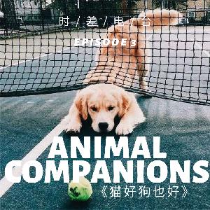 【RJL 2-3】猫好狗也好