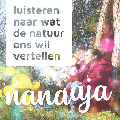 #01 Boswandeling in maart #01 Boswandeling in maart