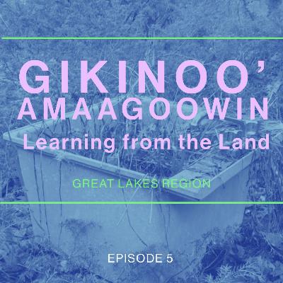 Gikinoo'amaagoowin - Learning from the Land