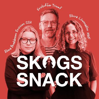 SSU + MUF: "Att ersätta fossila material, det är skogens stora klimatnytta"