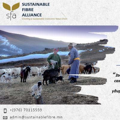 Ноолуур самнах цаг