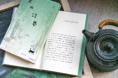 46. 把乡绅作为一种方法,书写南方的老派日常 46. 把乡绅作为一种方法,书写南方的老派日常