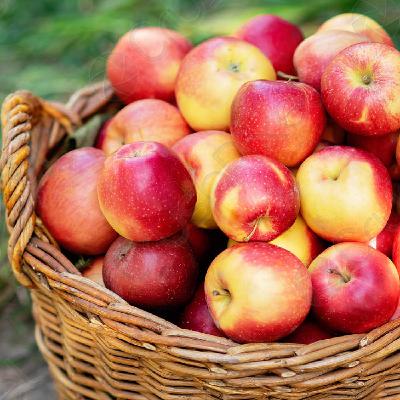 فوائد التفاح الاحمر لمناعة الجسم فوائد التفاح الاحمر لمناعة الجسم