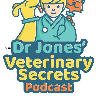 {Ep 114} DCM Update, Fish Oil Toxins, Pet Alzheimers