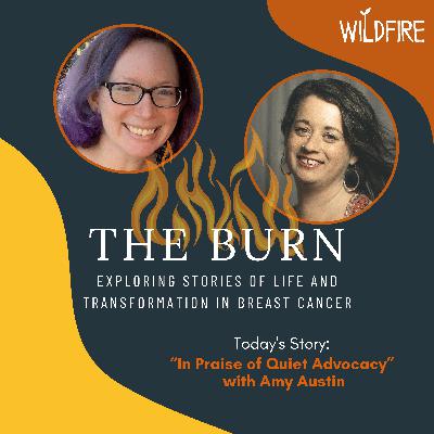 In Praise of Quiet Advocacy with Amy Austin In Praise of Quiet Advocacy with Amy Austin