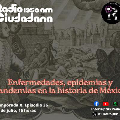 Epidemias y enfermedades en la historia