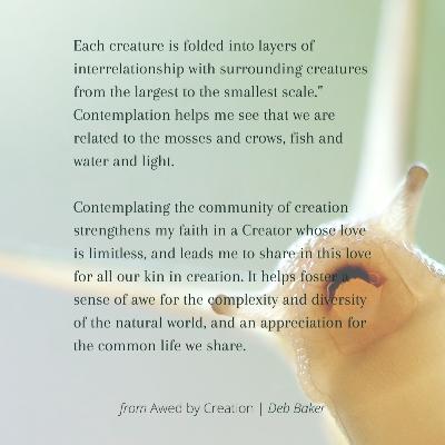 Awed by Creation by Deb Baker